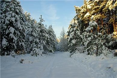 训练特工学生《双点校园》公布间谍系视频